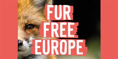 EESC celebrates success of 'Fur Free Europe' Citizens' Initiative